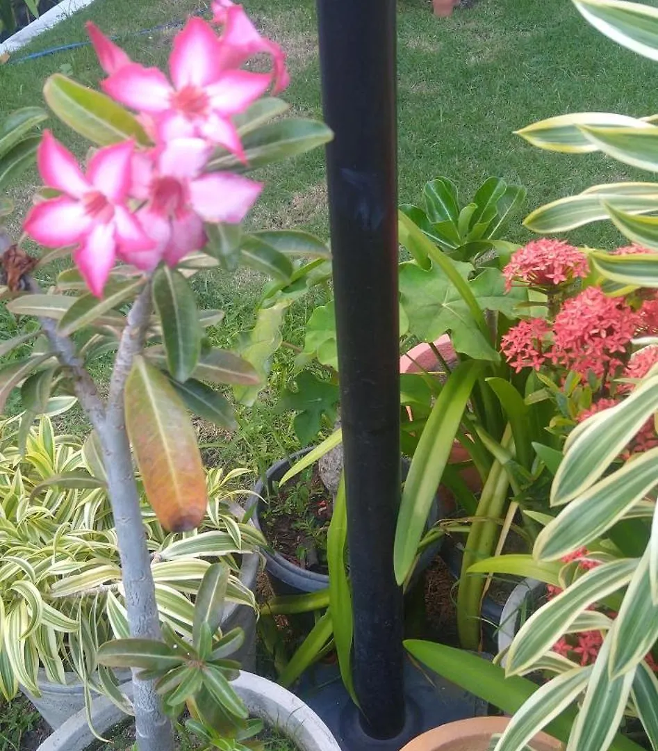 Casa Em Ponta De Pedras- Encanto Do Litoral! Recife Holiday home